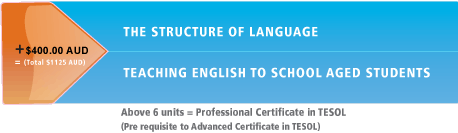 Professional Certificate